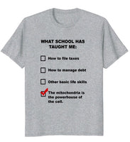 What School Has Taught Me T-Shirt
